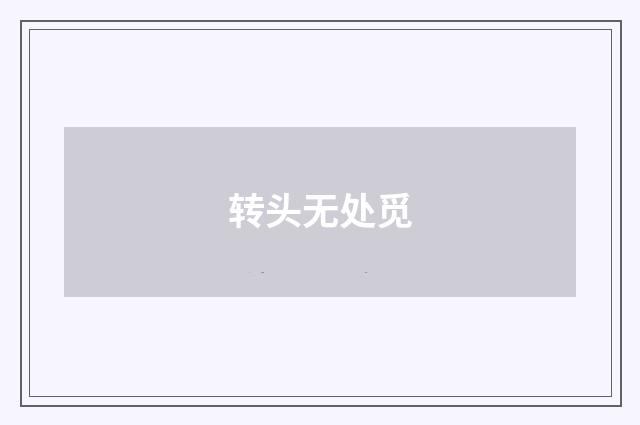 转头无处觅