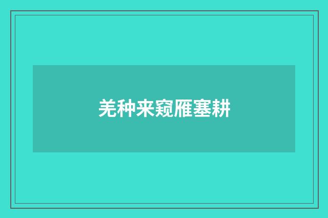 羌种来窥雁塞耕