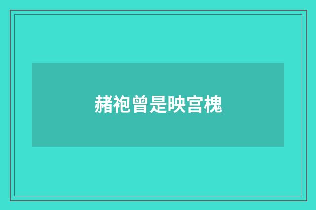 赭袍曾是映宫槐