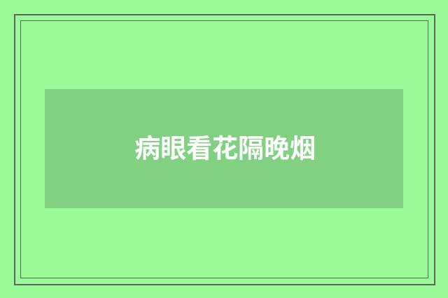 病眼看花隔晚烟