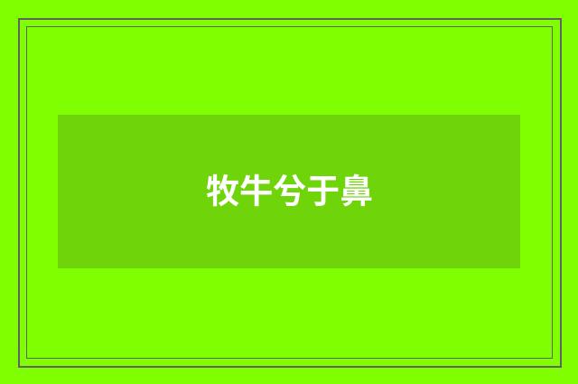 牧牛兮于鼻