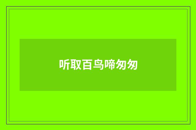 听取百鸟啼匆匆