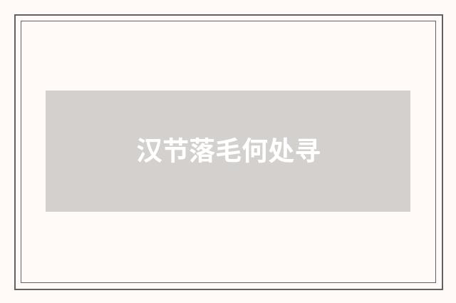 汉节落毛何处寻