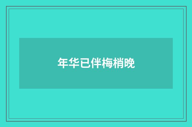 年华已伴梅梢晚
