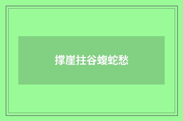 撑崖拄谷蝮蛇愁
