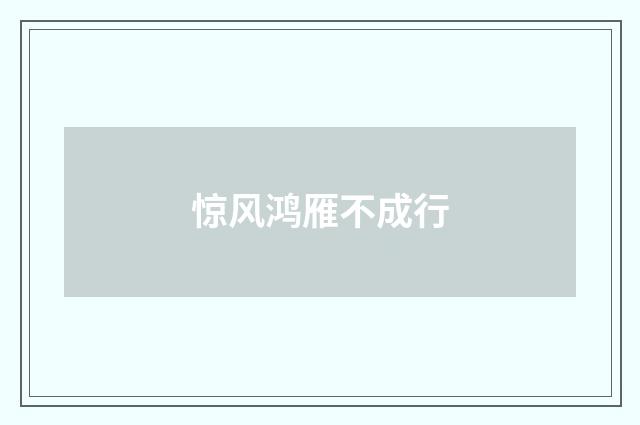 惊风鸿雁不成行