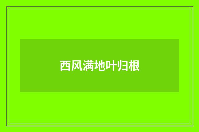 西风满地叶归根