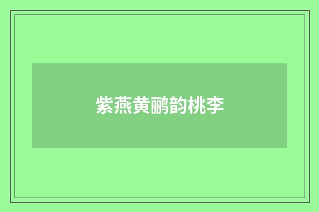 紫燕黄鹂韵桃李