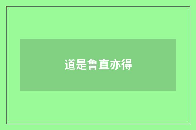 道是鲁直亦得