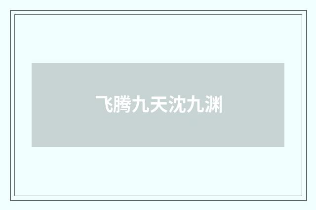 飞腾九天沈九渊