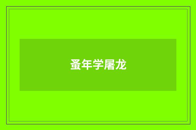 蚤年学屠龙