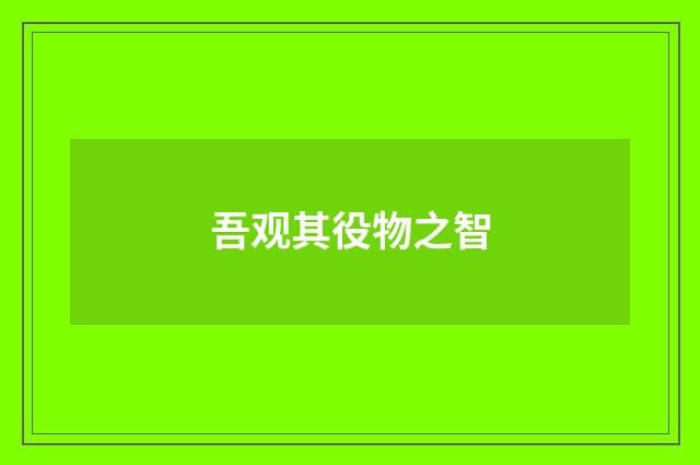 吾观其役物之智
