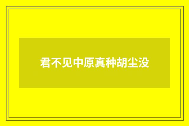 君不见中原真种胡尘没