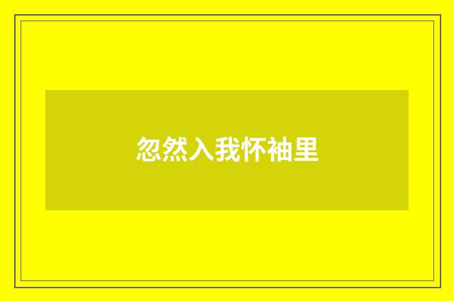 忽然入我怀袖里