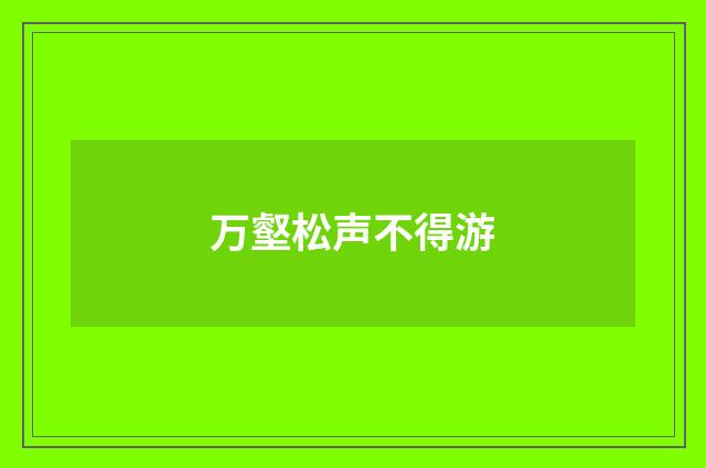 万壑松声不得游
