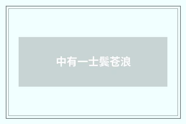 中有一士鬓苍浪