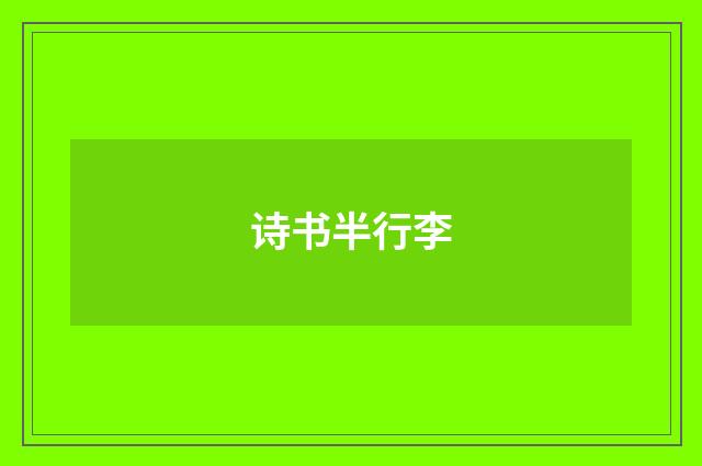 诗书半行李