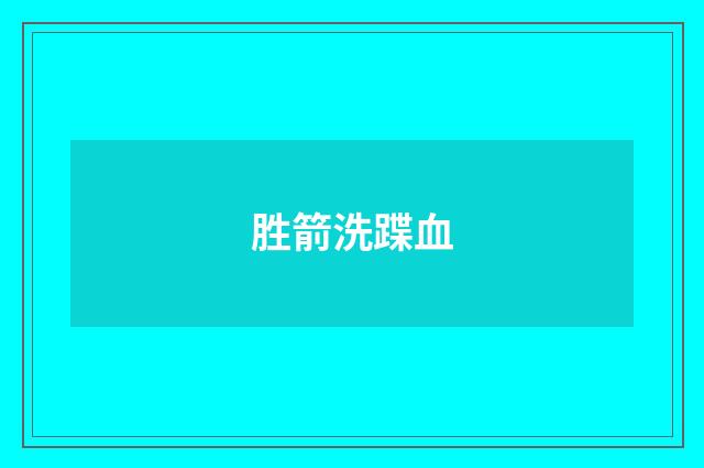 胜箭洗蹀血