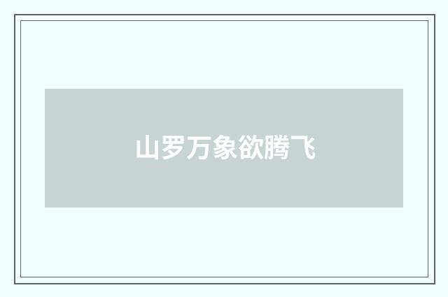 山罗万象欲腾飞