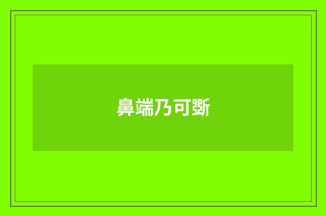 鼻端乃可斲