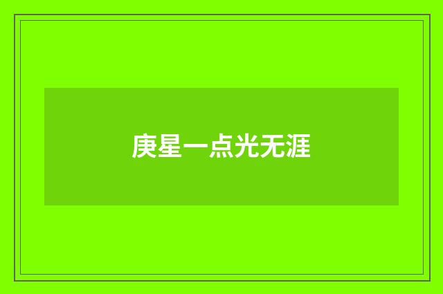 庚星一点光无涯