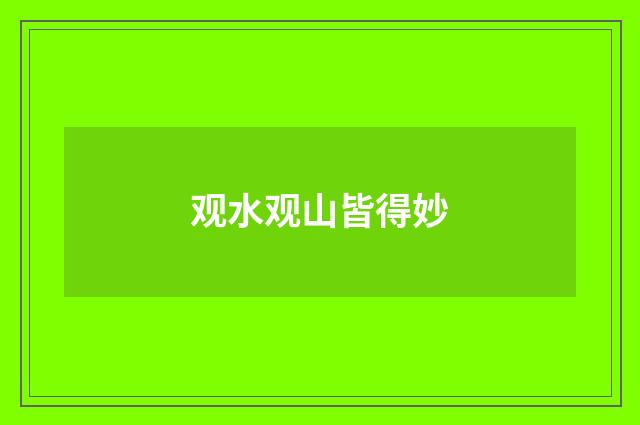 观水观山皆得妙