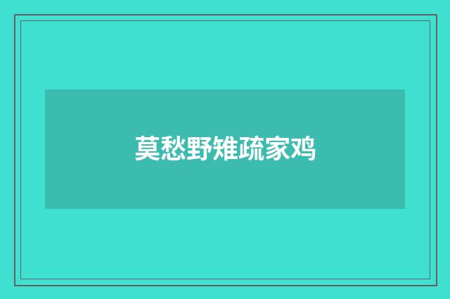 莫愁野雉疏家鸡