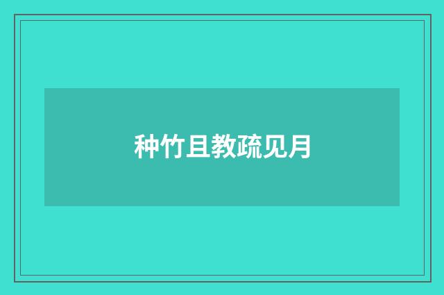 种竹且教疏见月