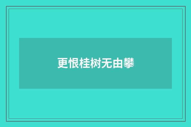 更恨桂树无由攀