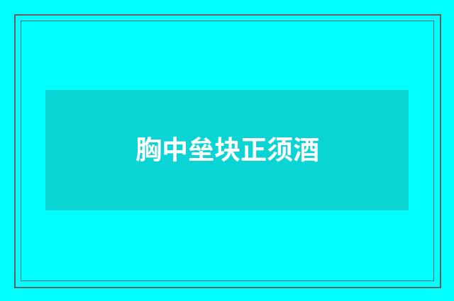 胸中垒块正须酒