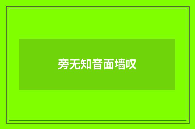 旁无知音面墙叹