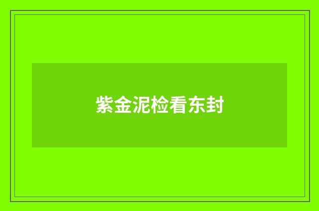 紫金泥检看东封