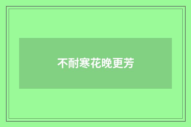 不耐寒花晚更芳