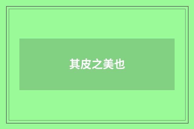 其皮之美也