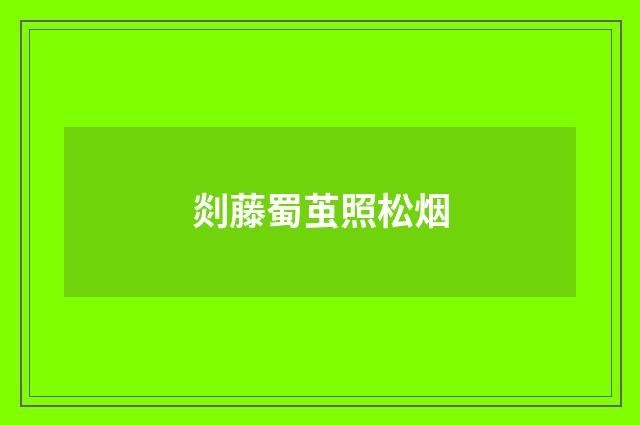 剡藤蜀茧照松烟