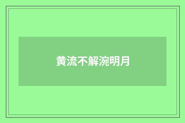 黄流不解涴明月