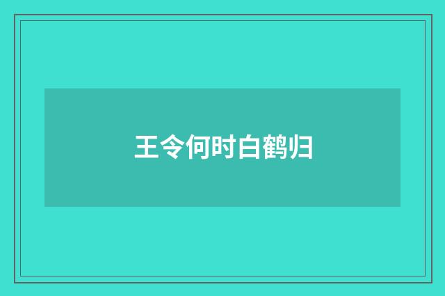 王令何时白鹤归