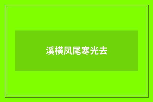 溪横凤尾寒光去