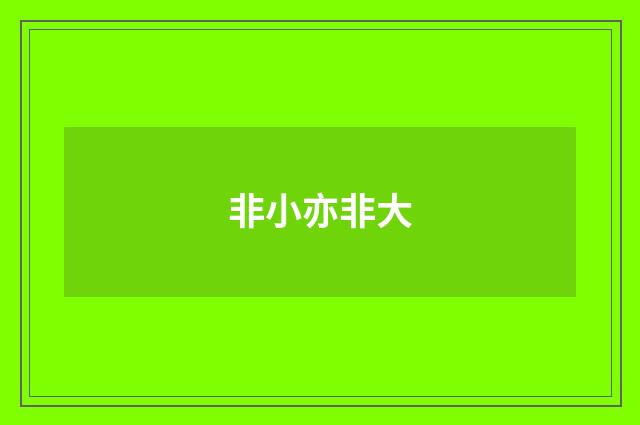 非小亦非大