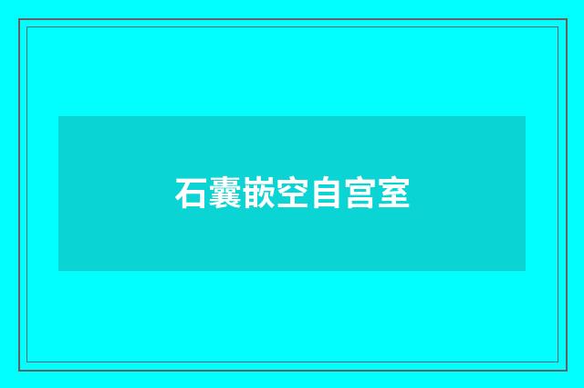 石囊嵌空自宫室