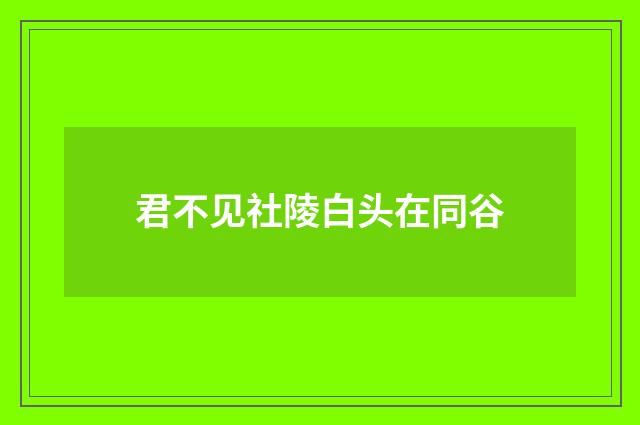 君不见社陵白头在同谷