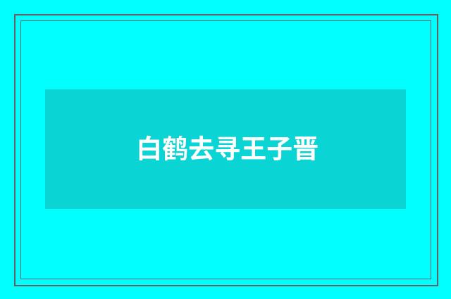 白鹤去寻王子晋
