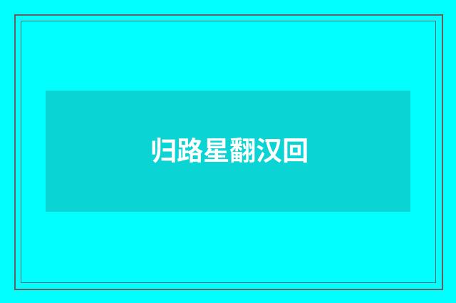 归路星翻汉回