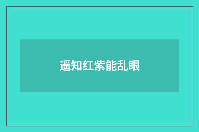 遥知红紫能乱眼