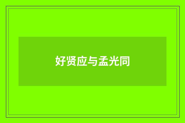好贤应与孟光同