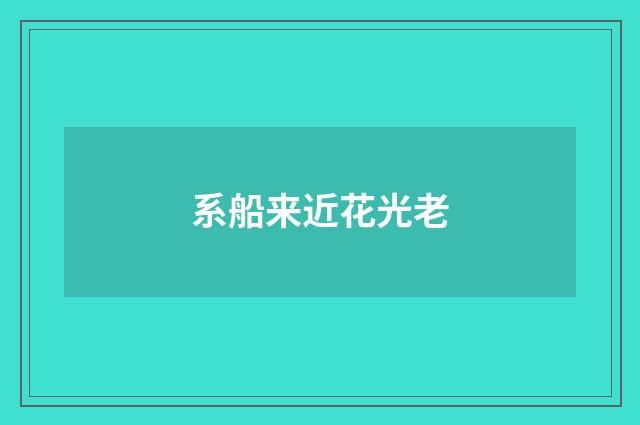 系船来近花光老