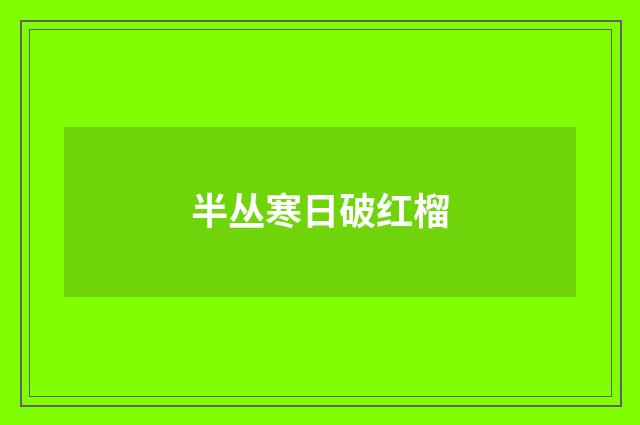 半丛寒日破红榴