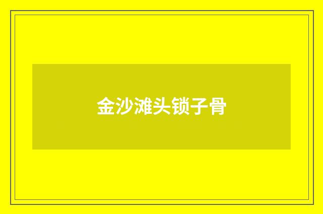 金沙滩头锁子骨