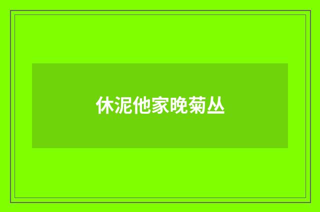 休泥他家晚菊丛