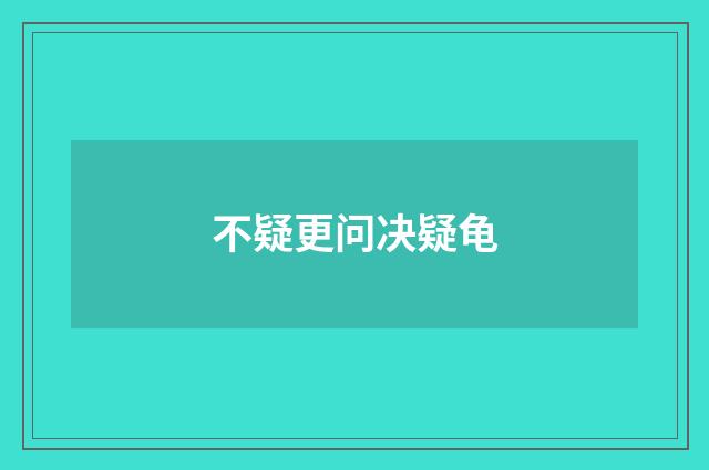 不疑更问决疑龟